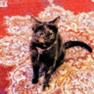 Meet your Posher, Heather